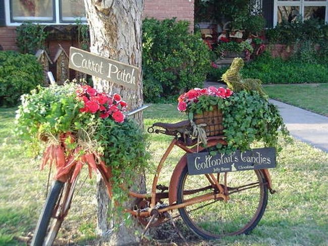 Weathered Bikes Overflowing With Flowers