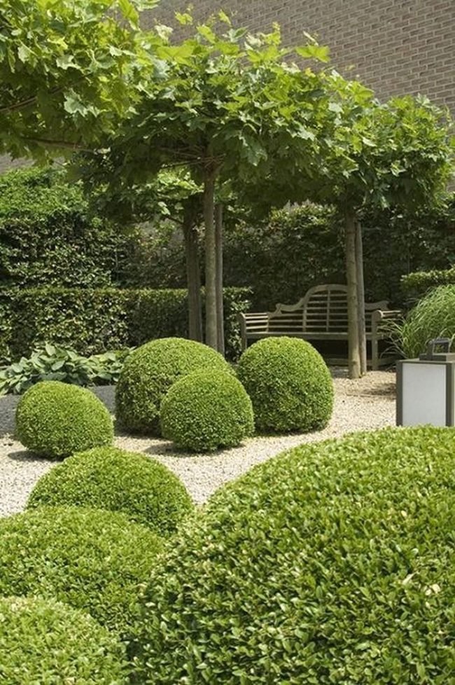 Green Bushes White Gravel Garden