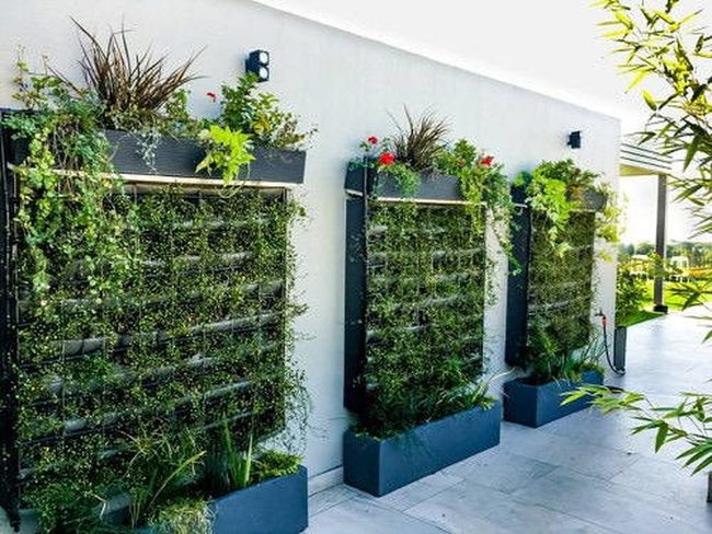 Green Walls Transform Rooftop Spaces