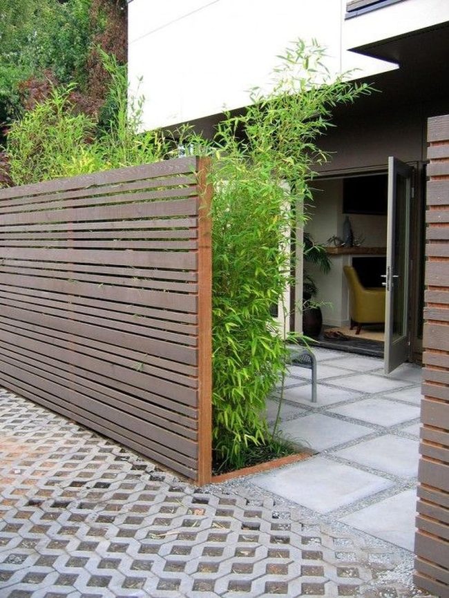 Concrete, Bamboo, And Soft Light