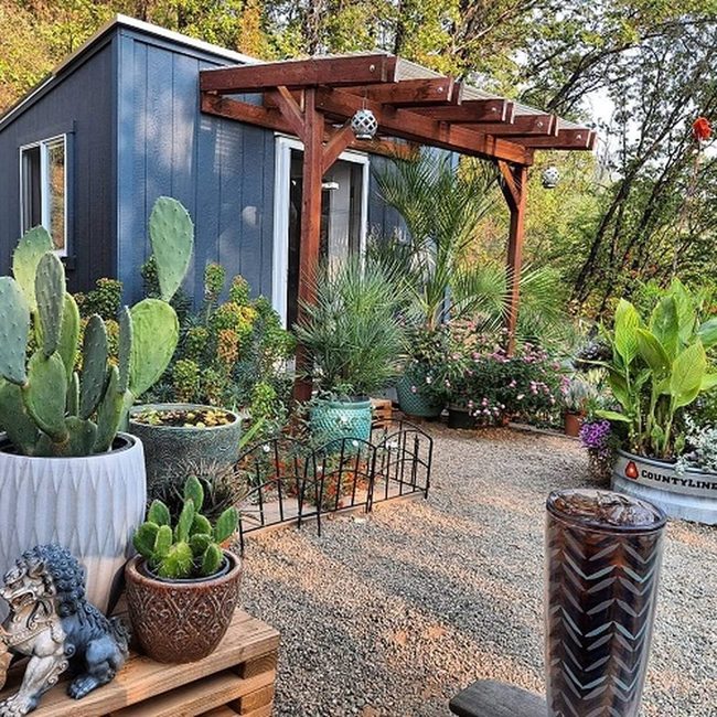 Oversize Ceramic Succulents Desert Statement