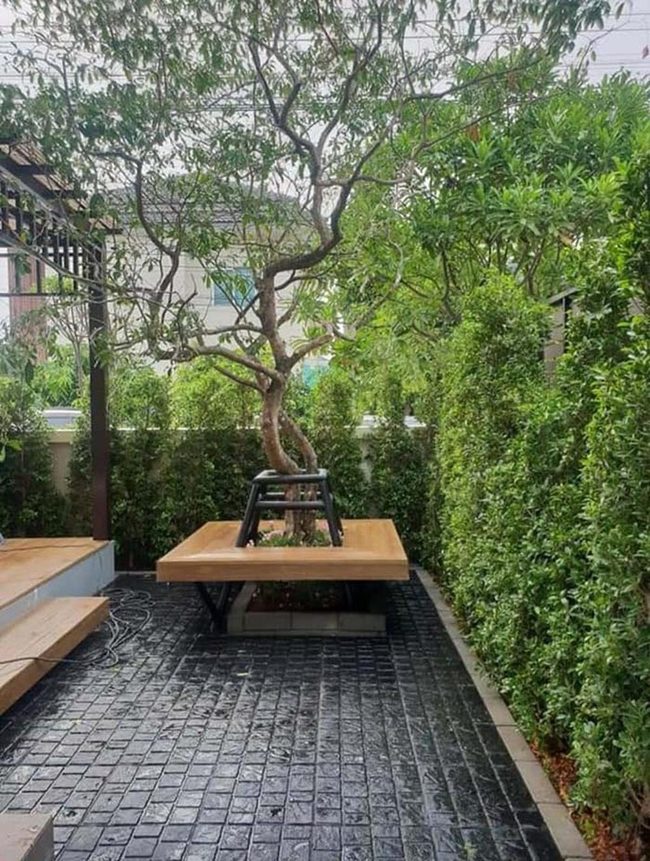 Curved Wood Bench Around Tree