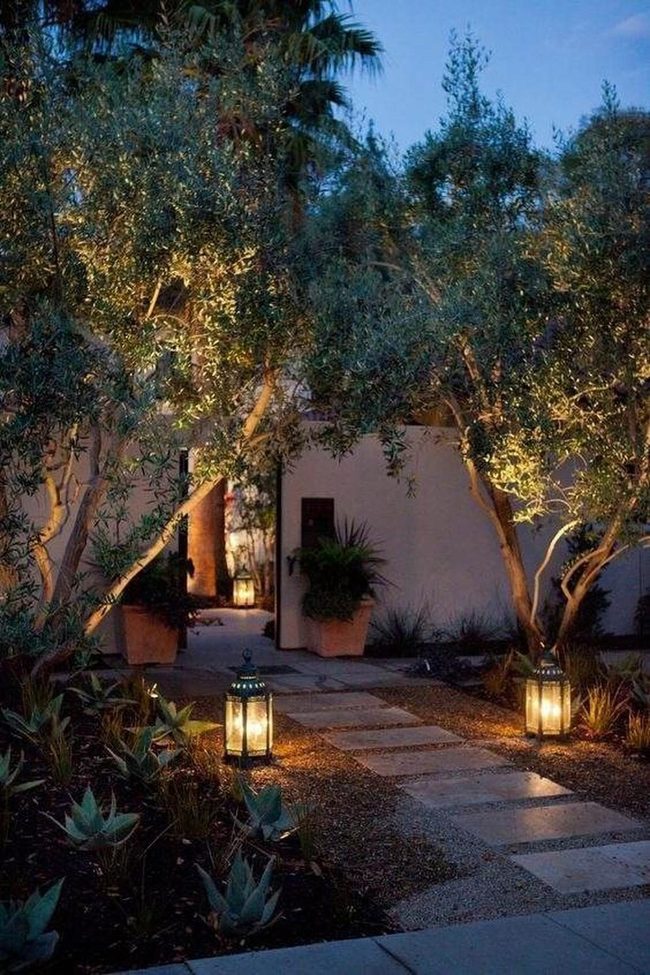 Backyard Lights After Sunset