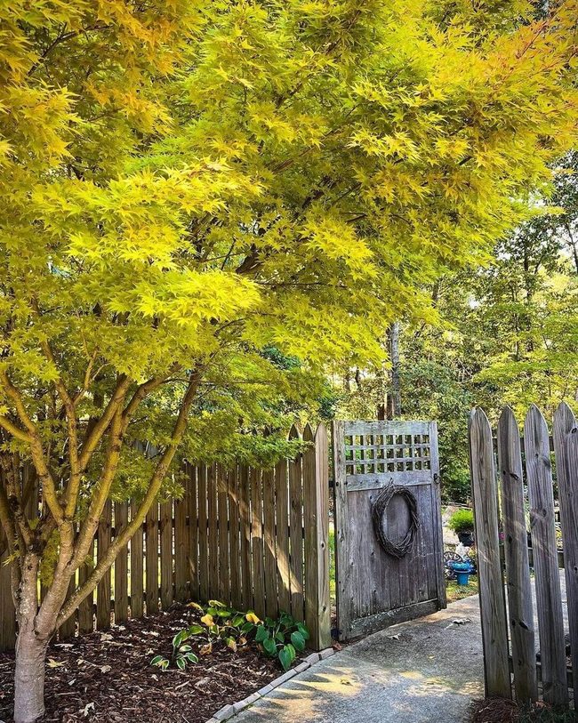 Weathered Wood Garden Entry