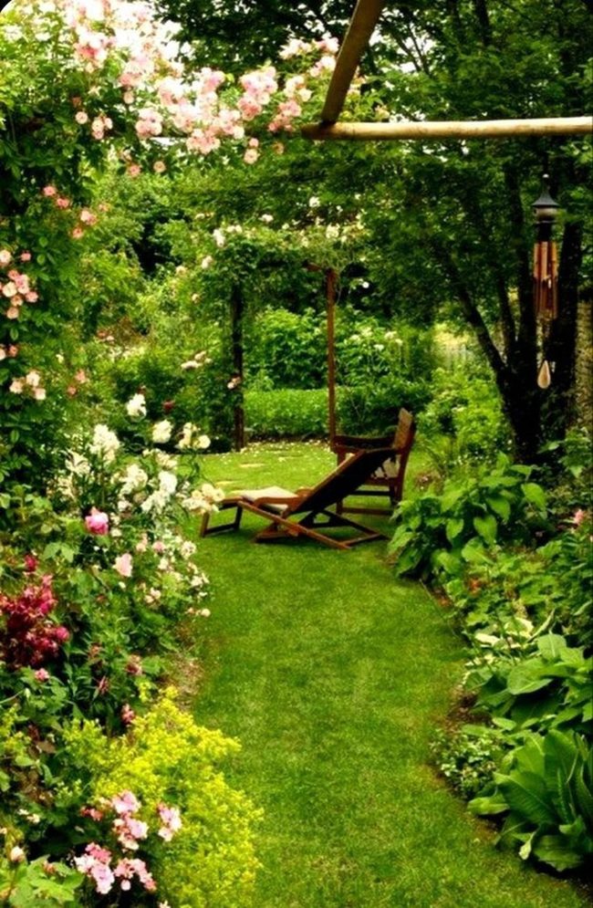 Flowering Path Through Shaded Trees