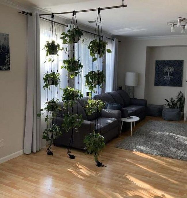 Vertical Greenery For Modern Spaces