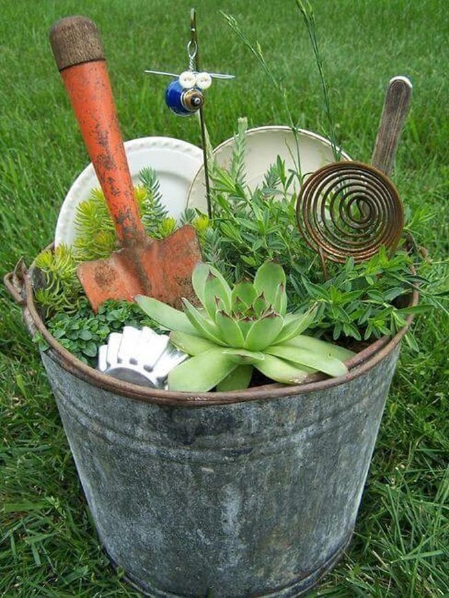 Weathered Bucket Overflowing Succulent Garden