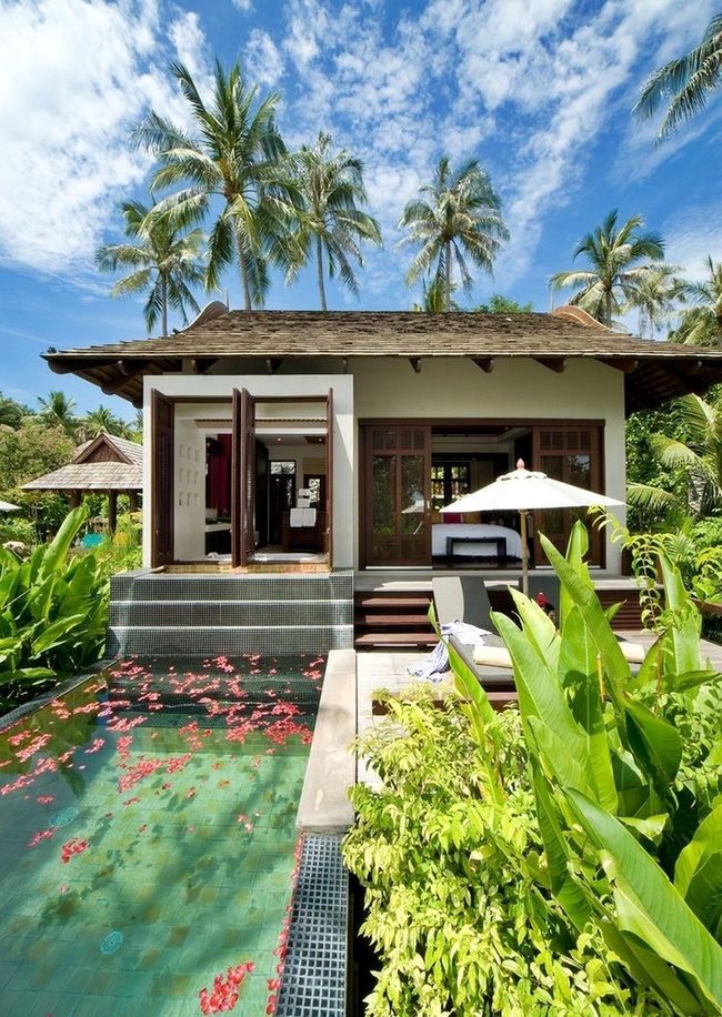 Palm-Fringed Pool Oasis