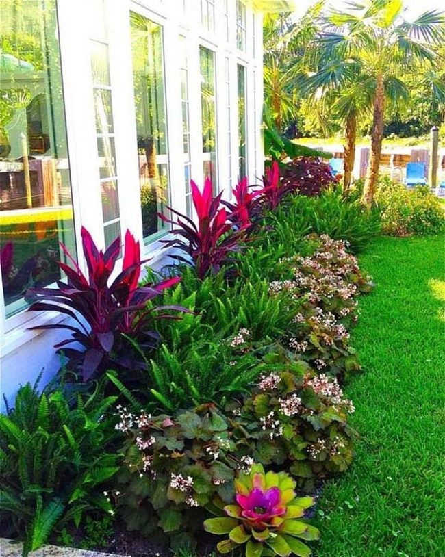 Layered Tropical Plants Create Lush Entry