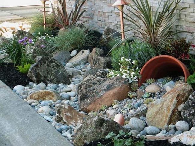 Boulders, Succulents, And Ornamental Grasses