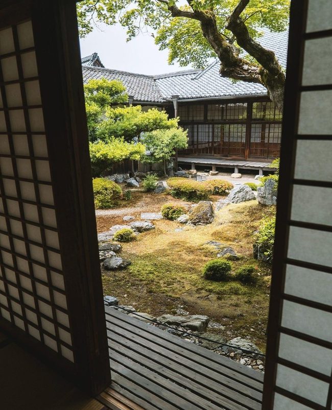 Water Feature Courtyard With Green Plants