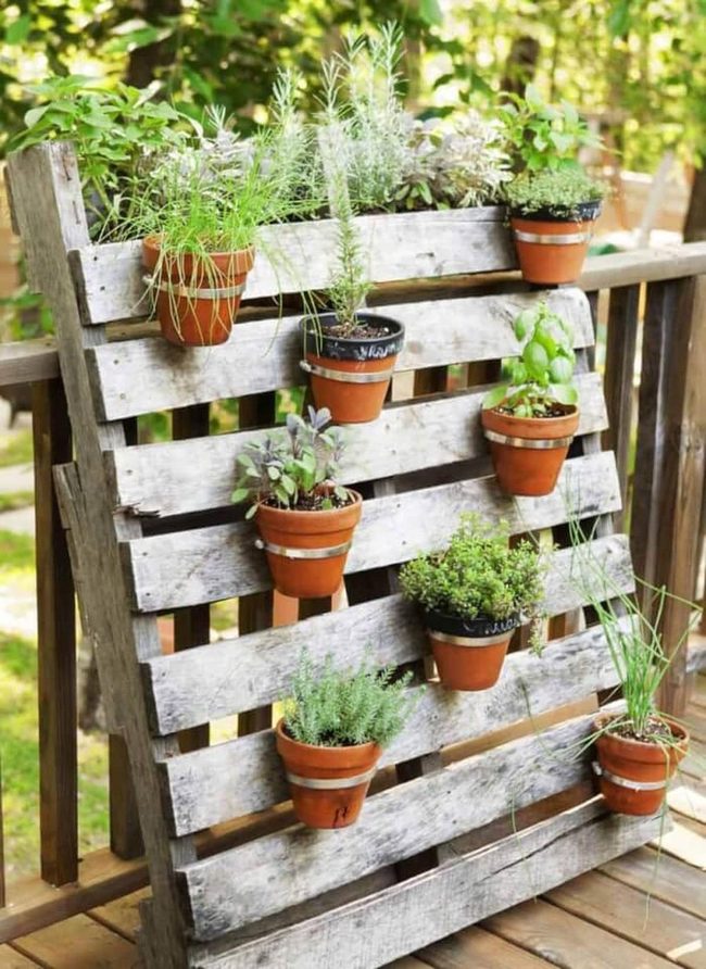 Fresh Herb Container Garden
