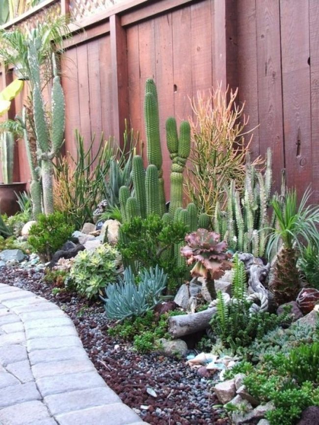 Desert Spikes And Stone Paths