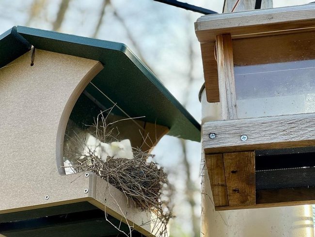 Dual Entry Wooden Bird Feeders