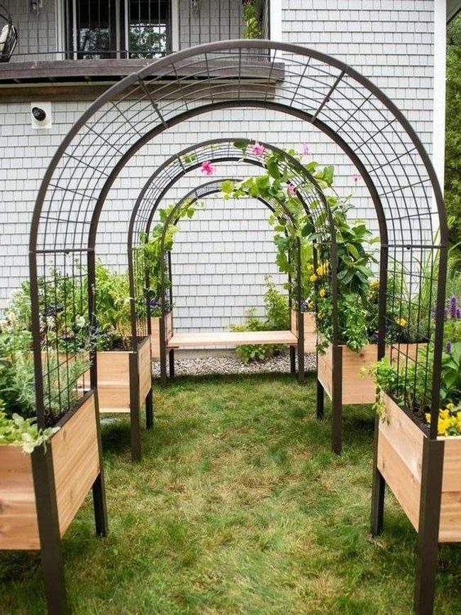 Garden Arches With Climbing Plants