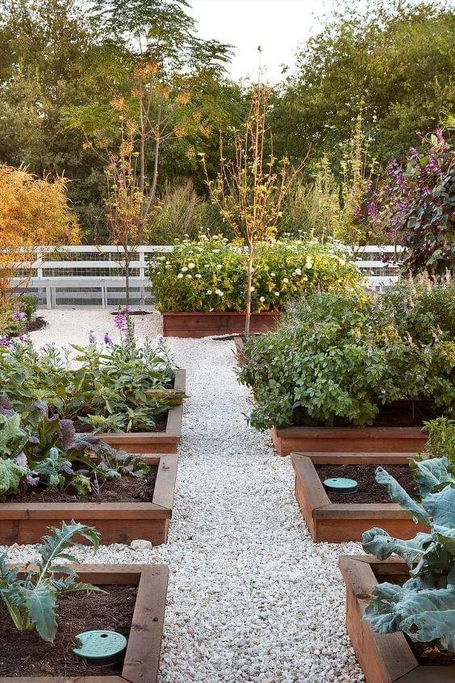White Gravel Paths And Firelit Gathering