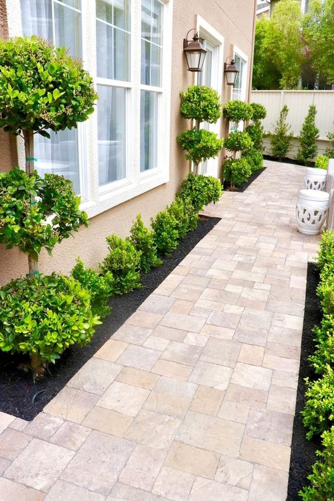 Stone Pathway Through Green Topiaries