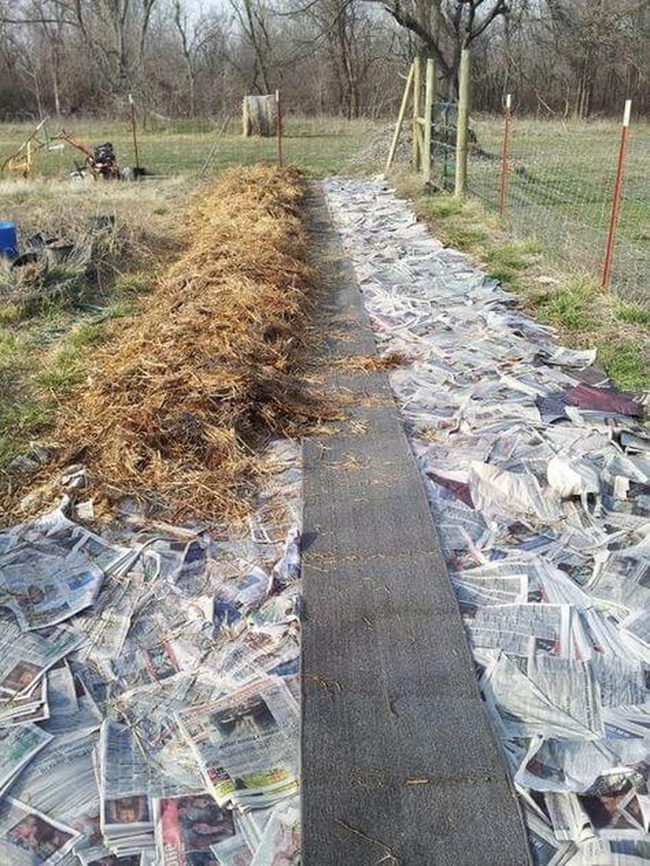 Black And White Newspaper Weed Barrier