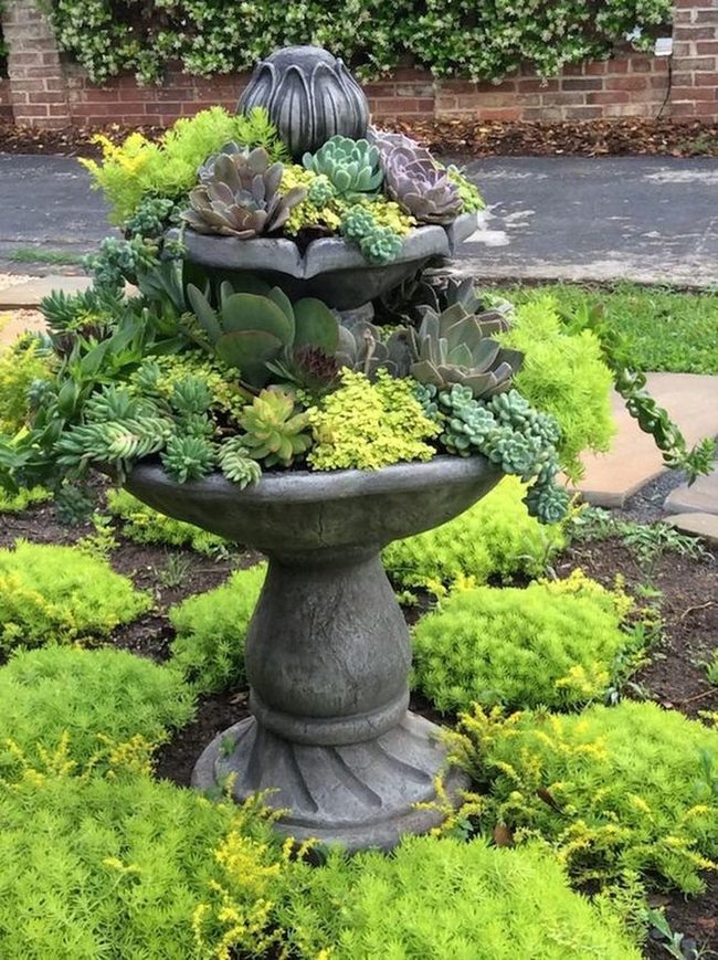 Stone Fountain Succulent Garden