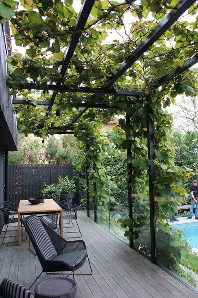 Black Metal Vines Garden Retreat