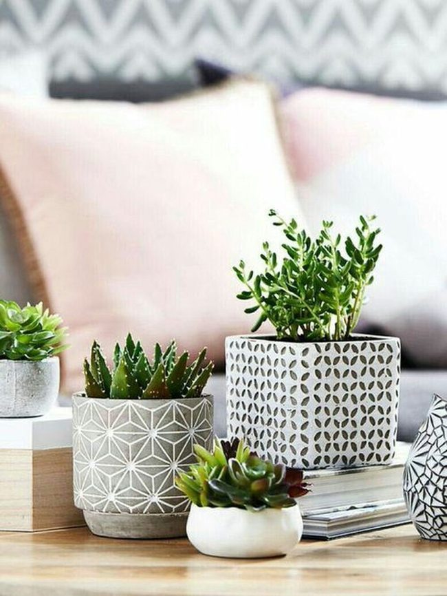 Ceramic Succulents For Modern Tables