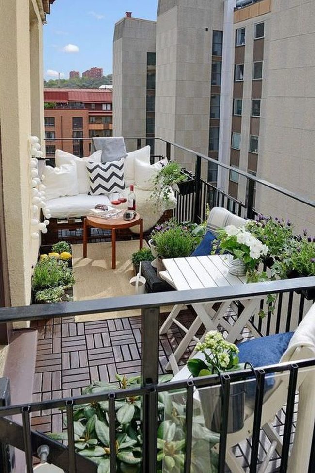 Vertical Garden On Your Balcony