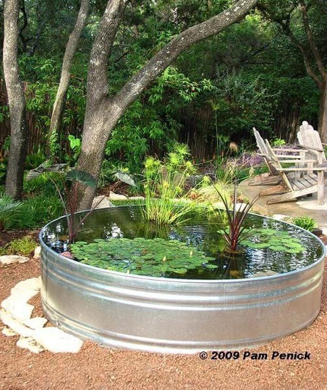 Metal Tank Water Garden