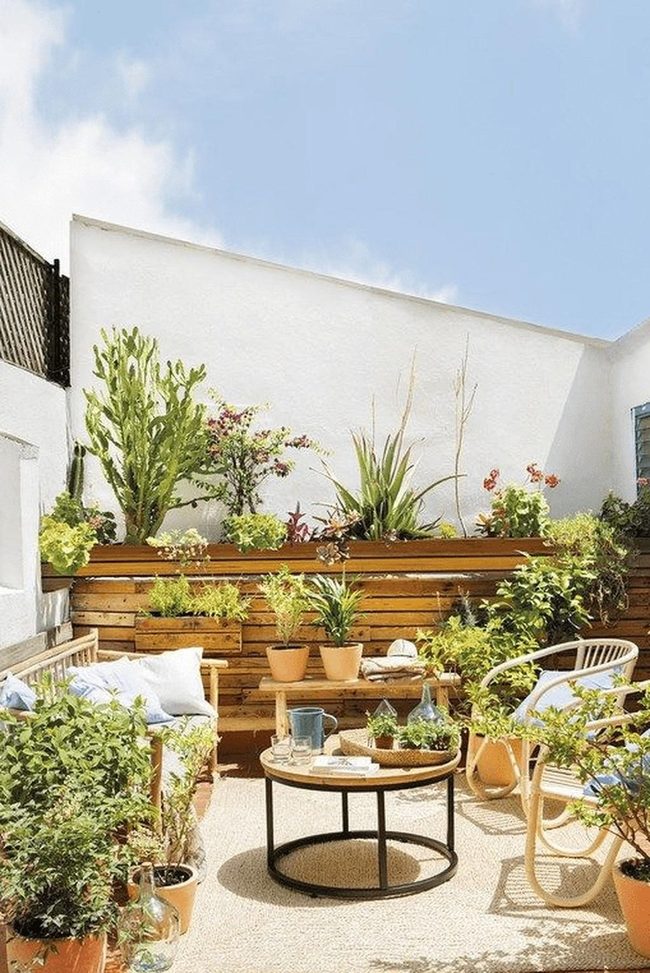White Walls, Green Garden Oasis