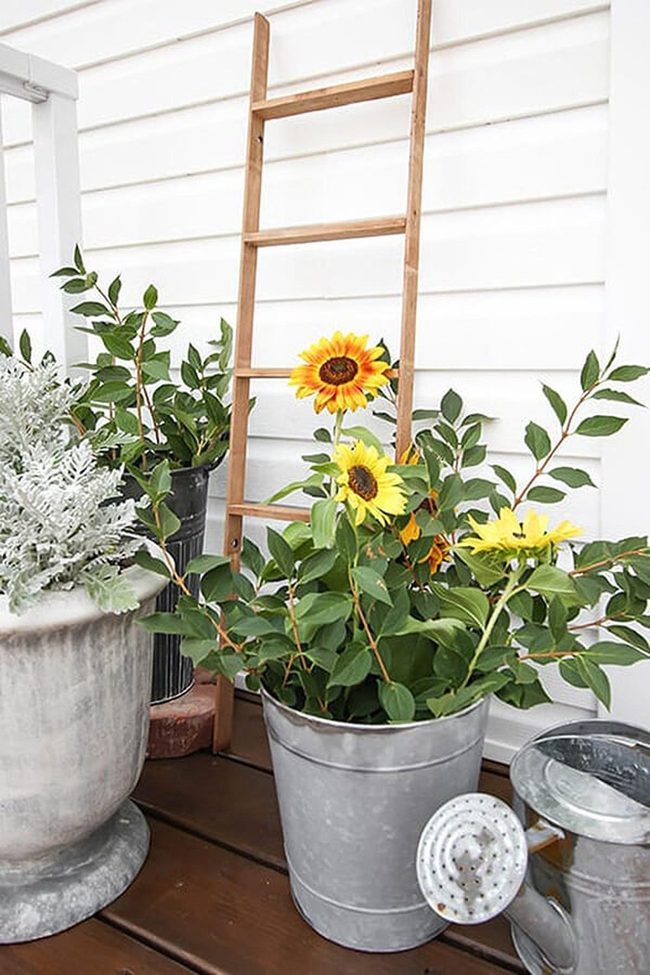 Wooden Ladder Cascading Potted Blooms