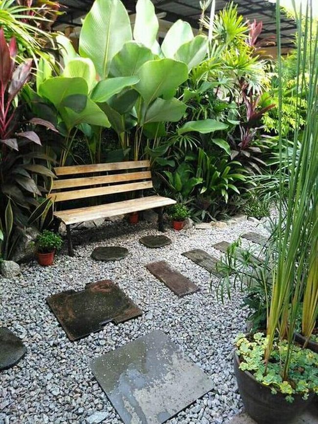 Lush Green Tropical Blooms Garden