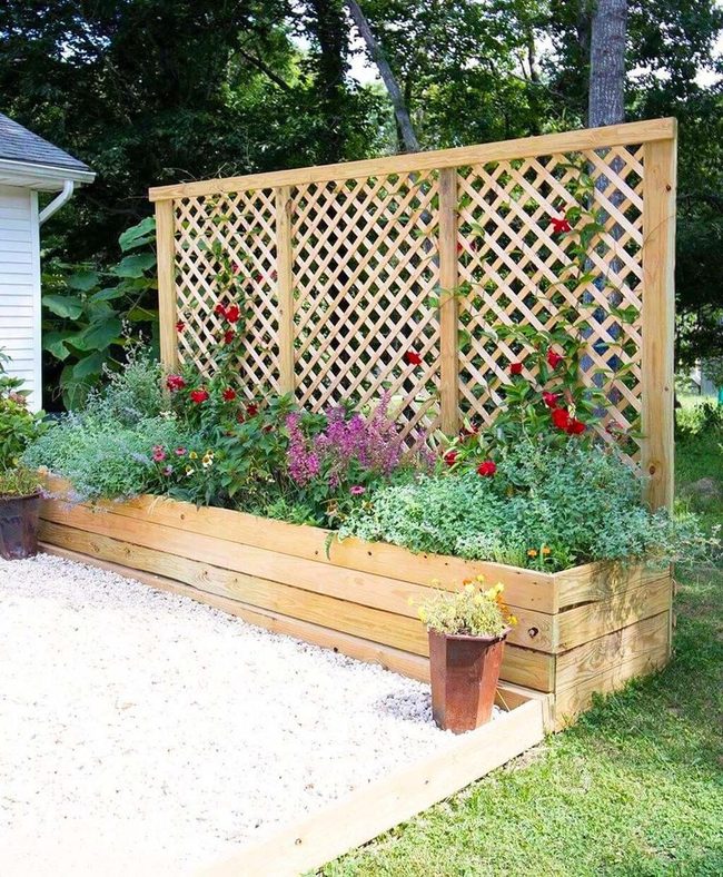 Elevated Wooden Beds With Blooming Vines