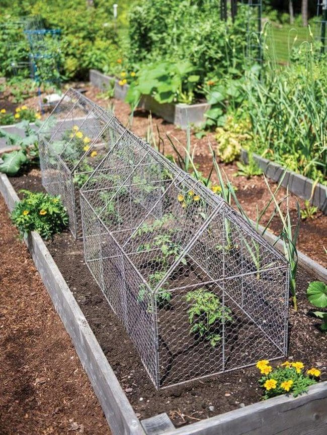 Garden Protection Mesh Shields