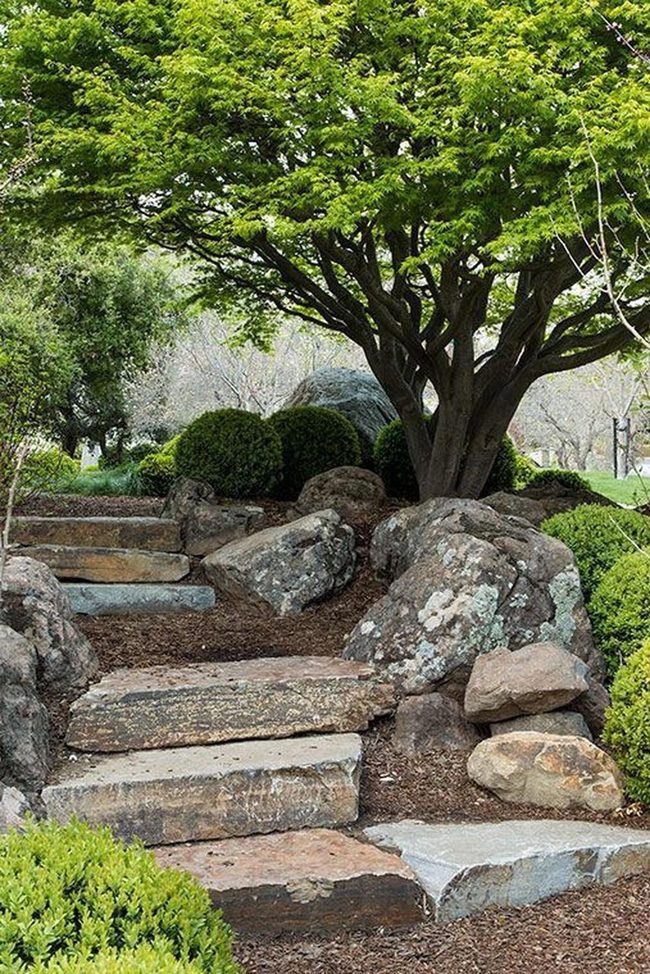 Dappled Shade Garden Pathway