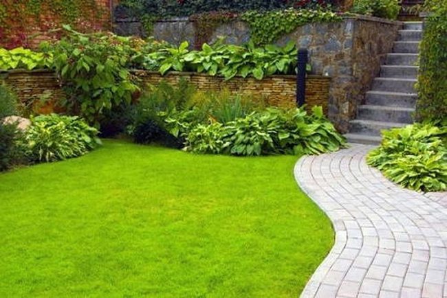 White Brick Paths Define Garden Flow