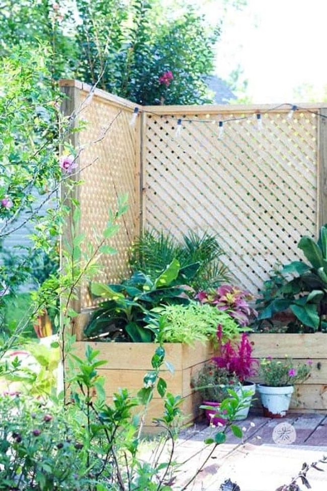 Lattice Fence With Integrated Planters