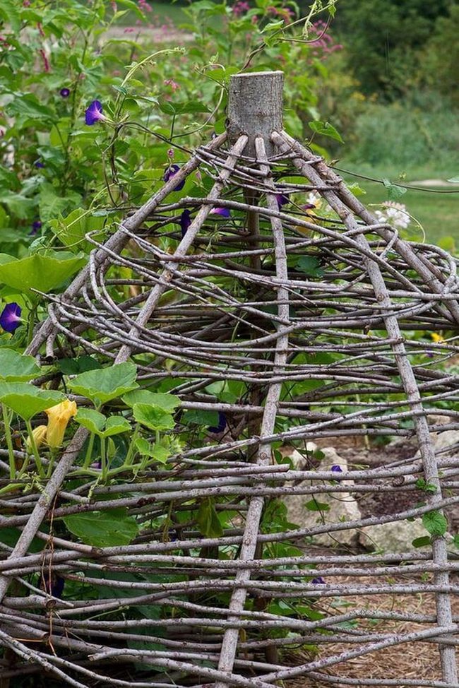 Woven Branch Plant Shelter
