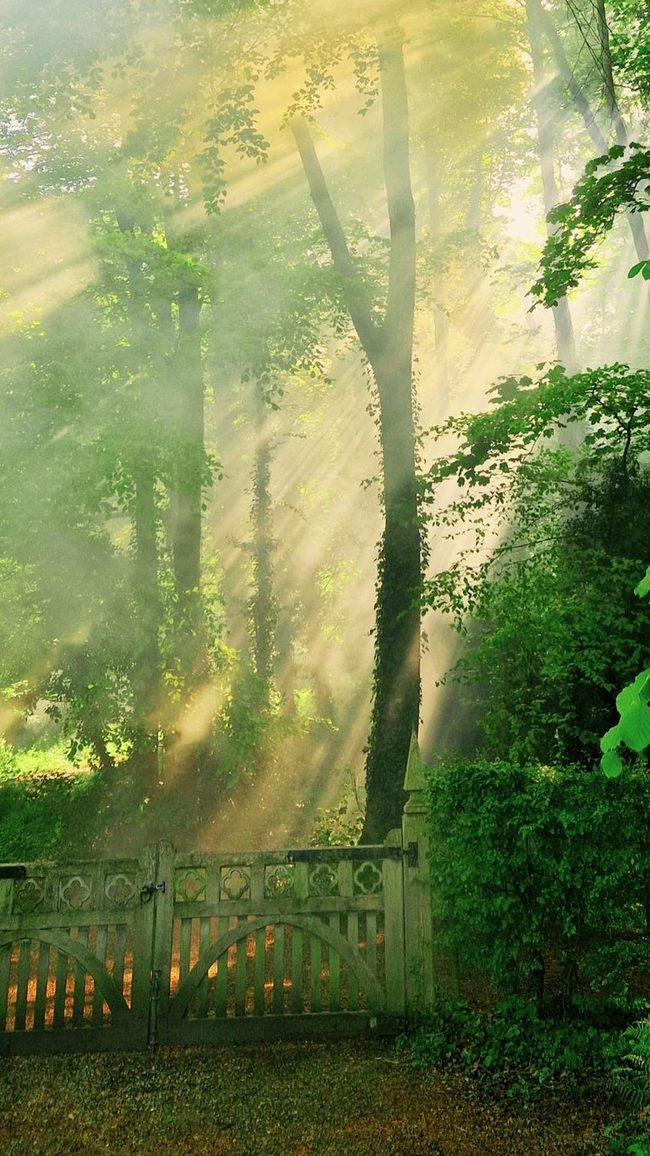 Green Sanctuary Swallows Hidden Corner