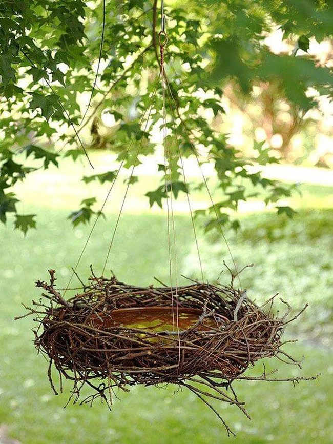 Hanging Birdbath Brings Feathered Visitors