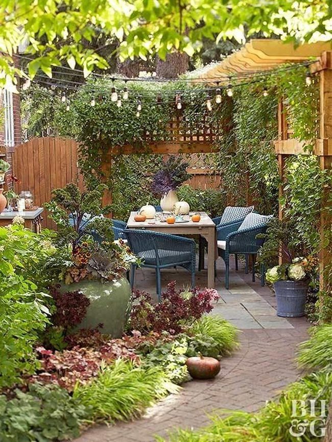 Green Garden Escape With String Lights