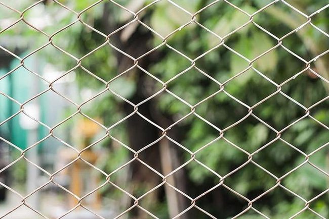 Vine-Covered Steel Fencing Green