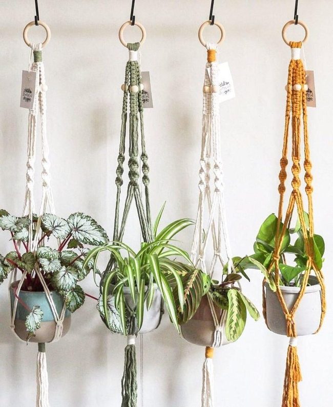 Hanging Plants Through Simple S-Hooks
