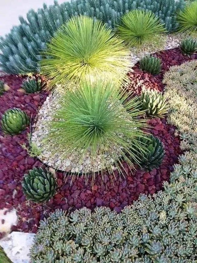 Deep Red Gravel Desert Garden