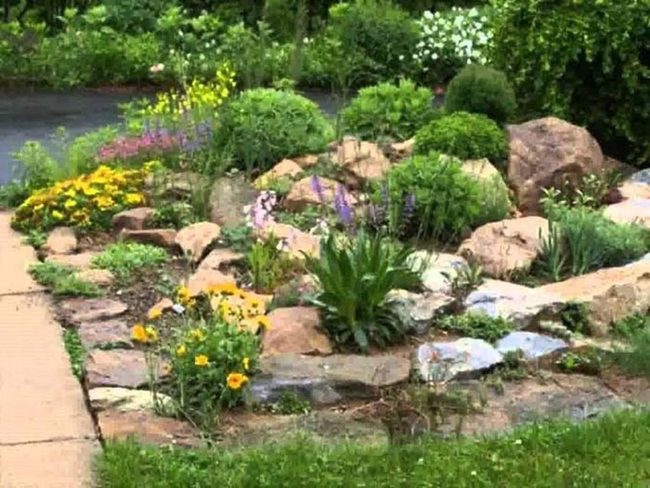 Gray Boulders Frame Colorful Blooms