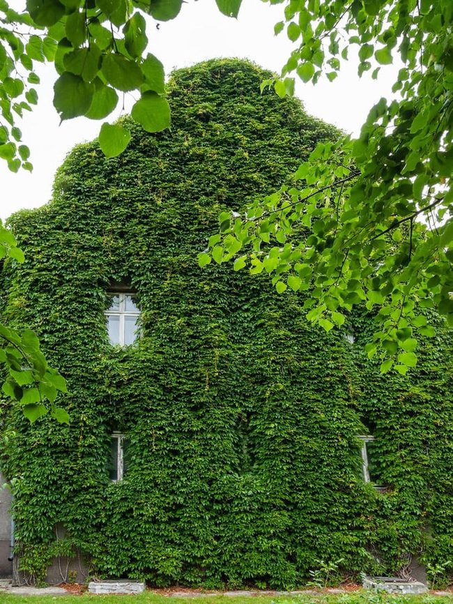 Green Spreader For Every Garden