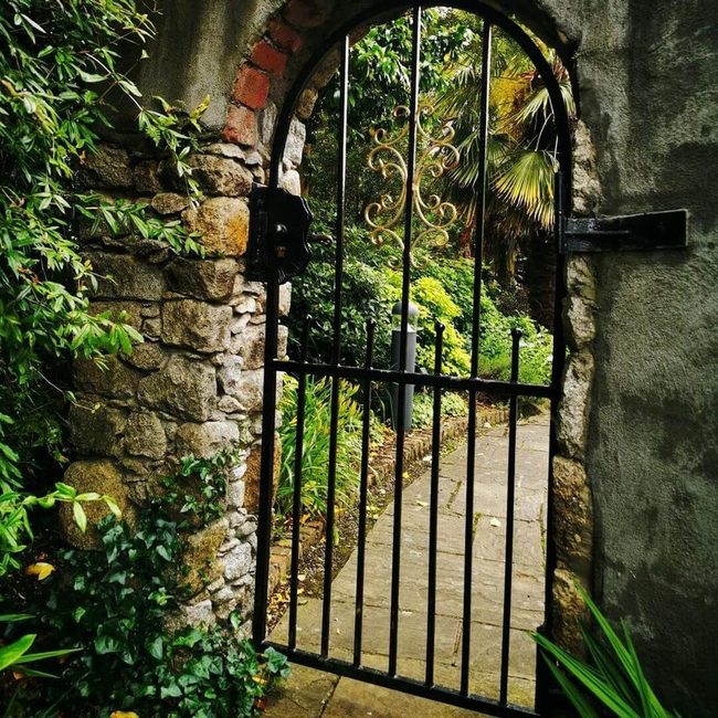 Iron Gate Through Garden Green
