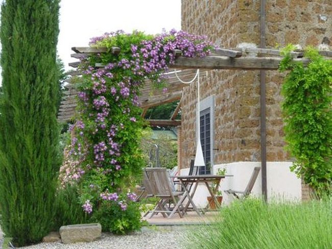 Mauve Blossoms Over Wooden Beams