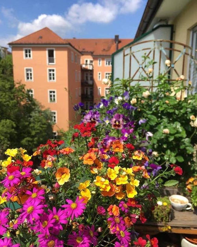 Lavender And Marigolds Balcony Garden