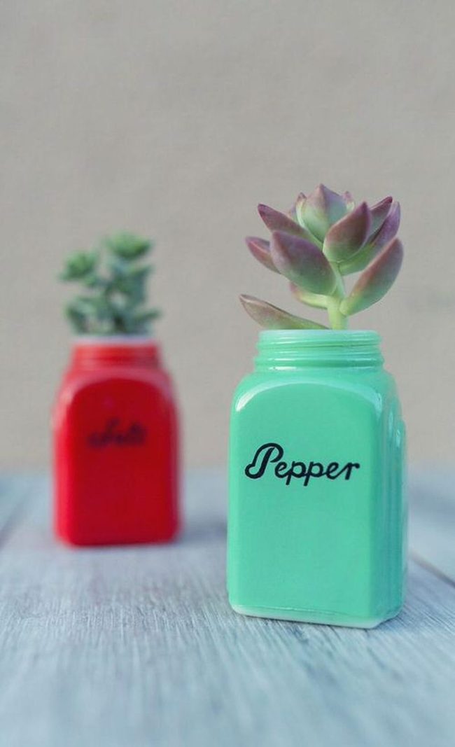 Tiny Greens In Ceramic Shakers