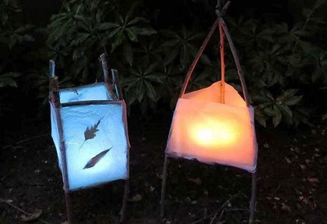 Forest Branch Glass Lanterns