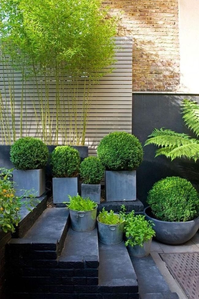 Green Geometry Modern Garden